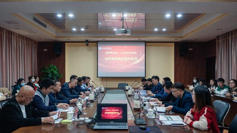 品牌设计公司案例解析：如何洞察优质案例背后的秘密